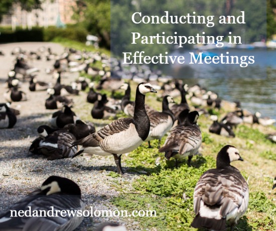 lots of ducks gathering by the water with Conducting and Participating in Effective Meetings overlay and nedandrewsolomon.com watermark at the bottom