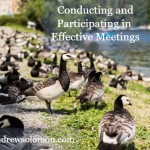 lots of ducks gathering by the water with Conducting and Participating in Effective Meetings overlay and nedandrewsolomon.com watermark at the bottom