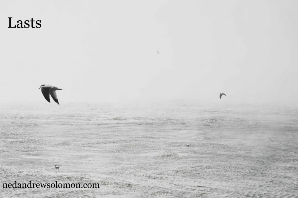 A black and white photo of a bird flying solo and away from where he's been. There's water below him and a foggy sky around him.