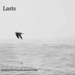 A black and white photo of a bird flying solo and away from where he's been. There's water below him and a foggy sky around him.