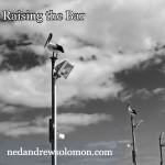 A pelican stands at the top of a very tall pole, with clouds forming the background. In the distance there are pelicans standing atop other lower poles.